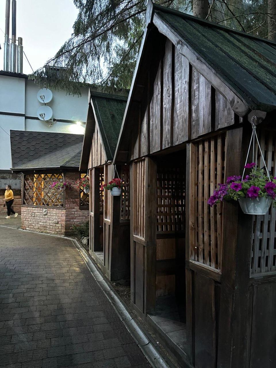 Alpiyskiy Yablunytsya Exterior photo