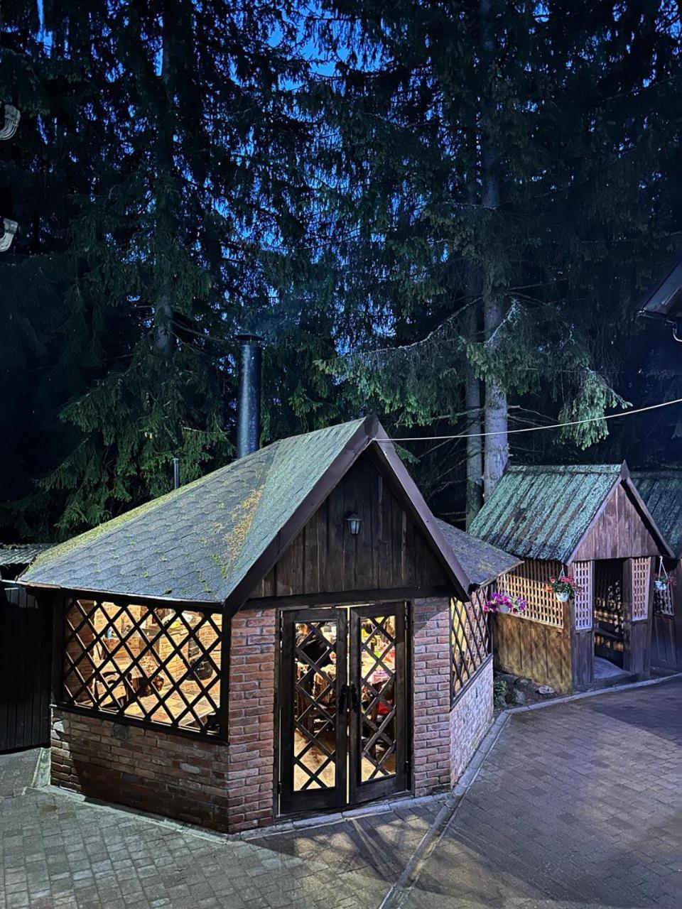 Alpiyskiy Yablunytsya Exterior photo